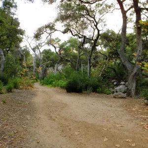 Canyon Trail