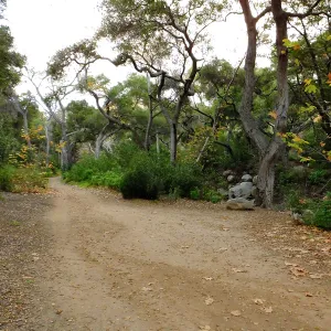 Canyon Trail