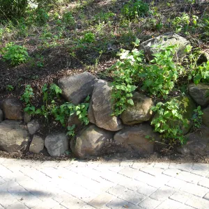 Reconstructed rock wall east side Campbell Bridge