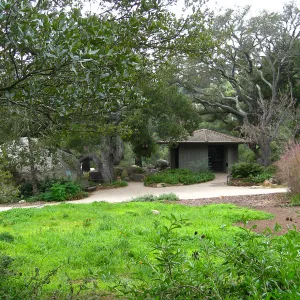 Meadow looking to Blakesly Boulder and old Kiosk