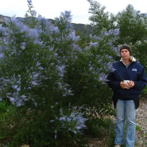 Heather Wehnau in front of Ceanothus spinosus, Porter Trail