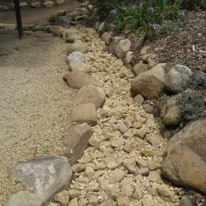 Path around Japanese Tea House