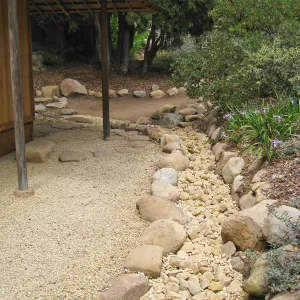 Path around Japanese Tea House