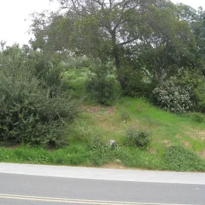 Looking acros Mission Canyon Rd from top of steps from parking lot