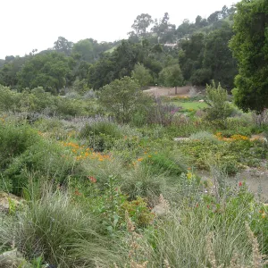  Meadow View