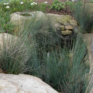 John Gabbert garden