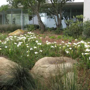 John Gabbert Garden