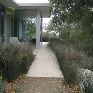 John Gabbert Garden
