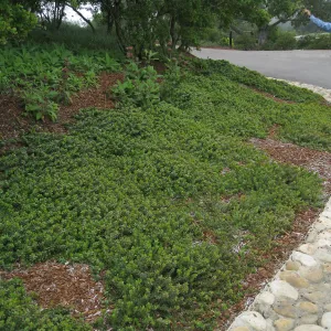 John Gabbert Garden