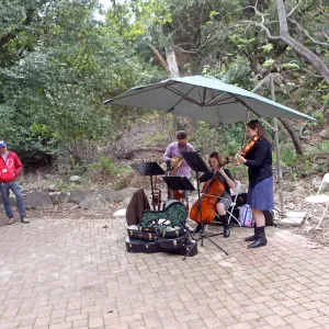 2015 Santa Barbara Beer Garden Event, Mission Creek Trio