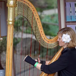 2015 Santa Barbara Beer Garden Event, Harpist