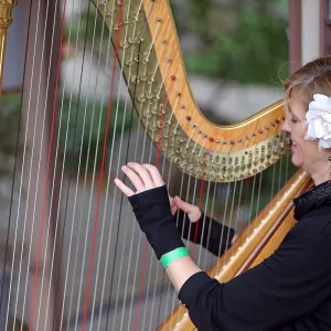 2015 Santa Barbara Beer Garden Event, Harpist