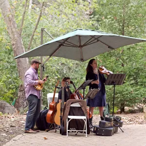 2015 Santa Barbara Beer Garden Event, Mission Creek Trio