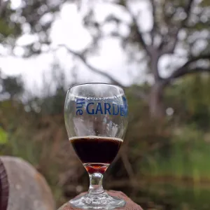 2015 Santa Barbara Beer Garden Event Glass(es)