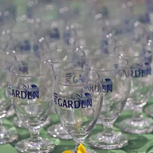 2015 Santa Barbara Beer Garden Event Glass(es)