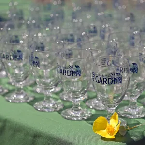 2015 Santa Barbara Beer Garden Event Glass(es)