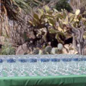 2015 Santa Barbara Beer Garden Event Glass(es)