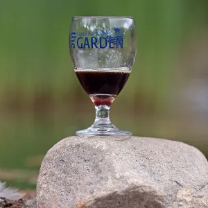 2015 Santa Barbara Beer Garden Event Glass(es)