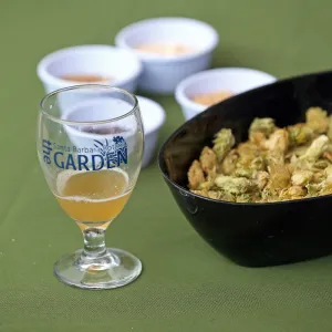 2015 Santa Barbara Beer Garden Event Glass(es)