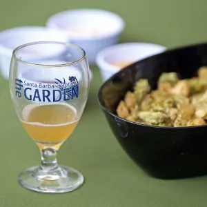 2015 Santa Barbara Beer Garden Event Glass(es)