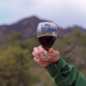 2015 Santa Barbara Beer Garden Event Glass(es)