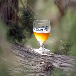 2015 Santa Barbara Beer Garden Event Glass(es)
