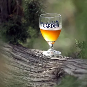 2015 Santa Barbara Beer Garden Event Glass(es)