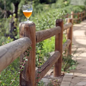 2015 Santa Barbara Beer Garden Event Glass(es)