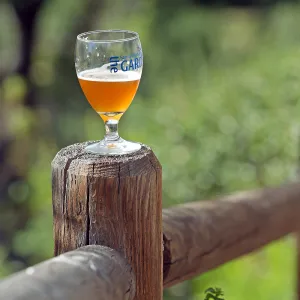 2015 Santa Barbara Beer Garden Event Glass(es)