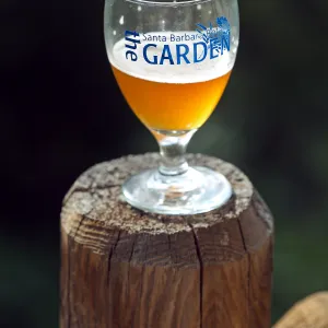 2015 Santa Barbara Beer Garden Event Glass(es)