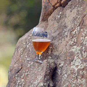2015 Santa Barbara Beer Garden Event Glass(es)