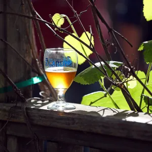 2015 Santa Barbara Beer Garden Event Glass(es)