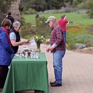 2015 Santa Barbara Beer Garden Event, SBBG table