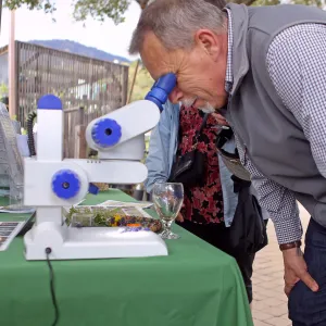 2015 Santa Barbara Beer Garden Event, Microscope Display