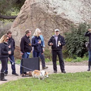2015 Santa Barbara Beer Garden Event Guests