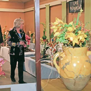 Orchid Show 2013