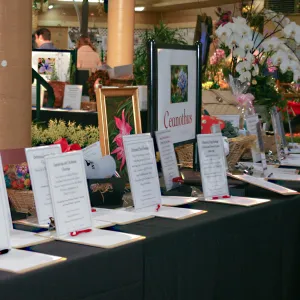 Orchid Show 2013