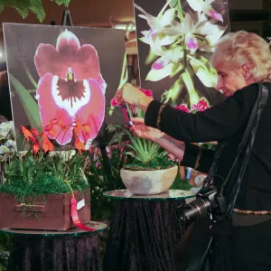 Orchid Show 2013