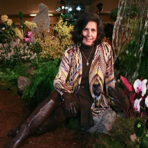 Orchid Show 2013