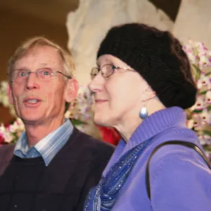 Orchid Show 2013