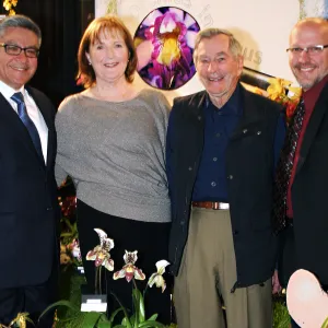 Orchid Show 2013