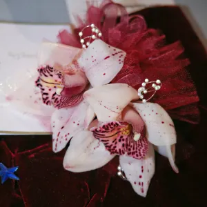 Orchid Show 2013