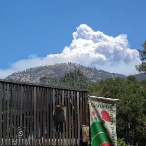 Smoke from the Zaca Fire