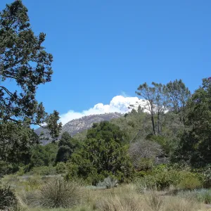 Smoke from the Zaca Fire