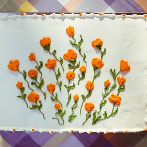 Members Picnic 2015 Cake
