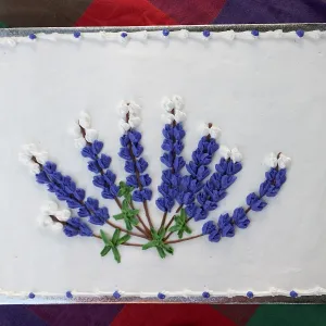 Members Picnic 2015 Cake