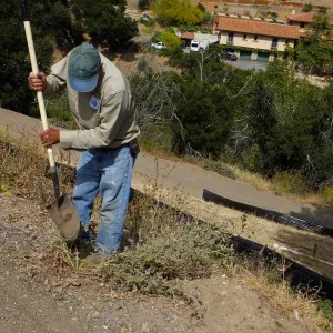 Manny dispatches a weed.