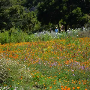 Seniors Free Day visitors at lower Meadow near Blaksley Boulder