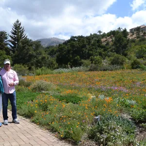 Seniors Free Day visitors