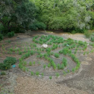 Centennial Maze